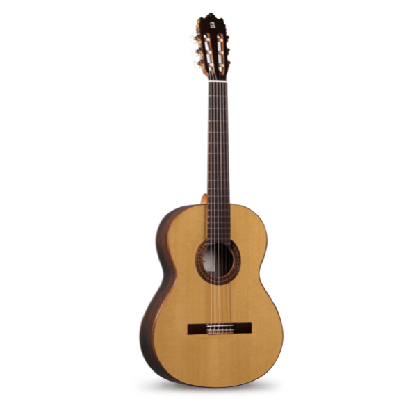 Alhambra Iberia Ziricote Konzertgitarre 4/4 mit Tasche - Musik-Ebert Gmbh