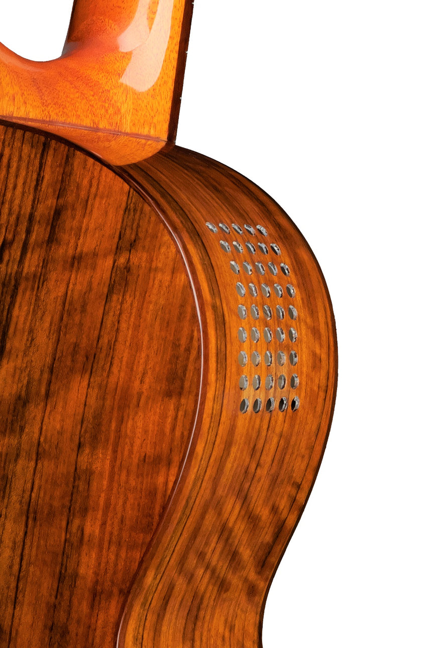 AMANO 8A Konzertgitarre 4/4 - Musik-Ebert Gmbh