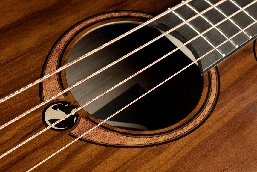 LÂG - GLA SAUVAGE-BCE Acoustic-Electric Bass Jumbo Cutaway w/ Gig Bag - Musik-Ebert Gmbh