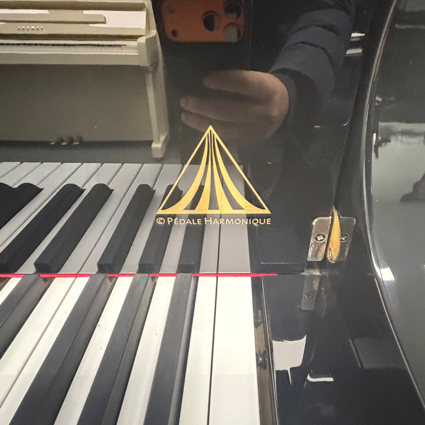 Wendl & Lung Flügel 178 Professional schwarz poliert Occasion Bj. 2008, sehr guter Zustand (gebraucht) - Musik-Ebert Gmbh