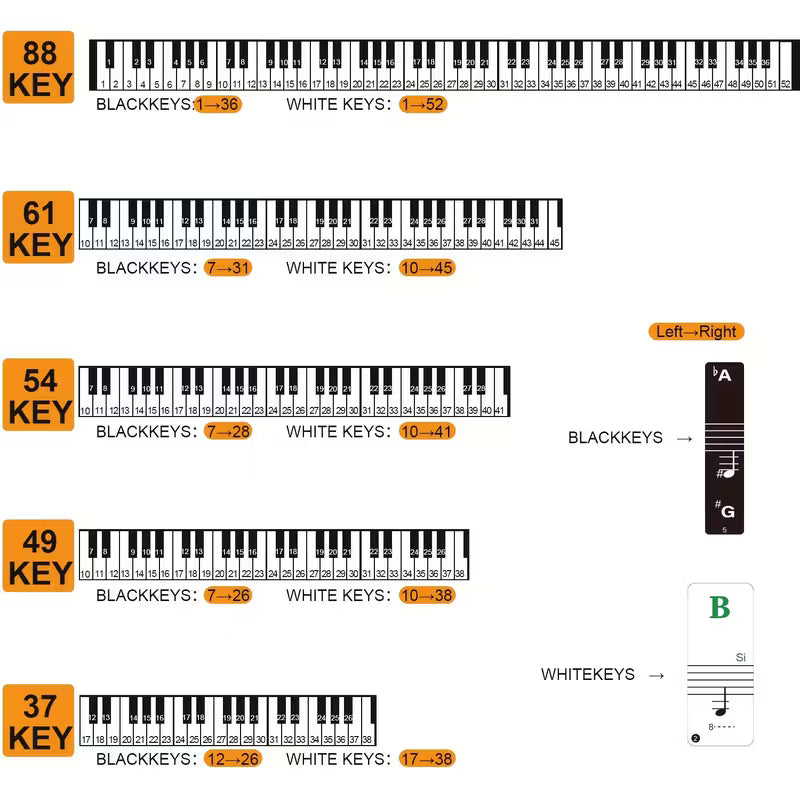 Basic Piano Tastaturaufkleber für Anfänger