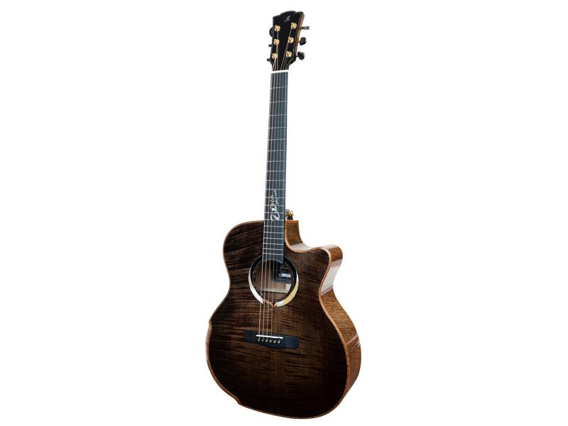Guitare acoustique MERIDA Procnias, pan coupé OM