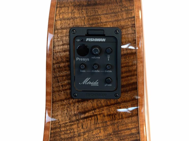 Guitare acoustique MERIDA Procnias, pan coupé OM