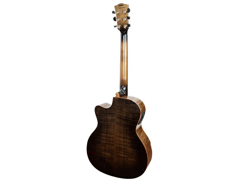 Guitare acoustique MERIDA Procnias, pan coupé OM