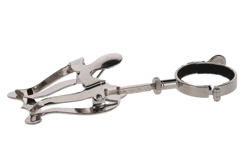 Lyre de marche GEWA 730.440, petite lyre avec bague, nickelée – vue latérale avec bague