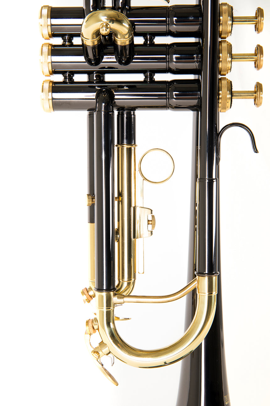 Roy Benson TR-101K, anthrazit – Rückansicht
