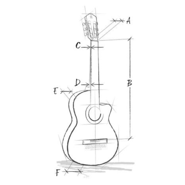 Alhambra Z-Nature CW EZ Konzertgitarre mit Tonabnehmer 4/4 mit Tasche - Musik-Ebert Gmbh