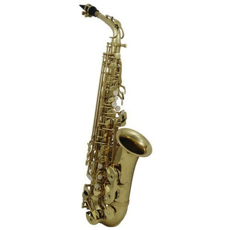 Roy Benson AS202 Altsaxophon-Bundle mit Ständer, Pflegeset & Bissplatten