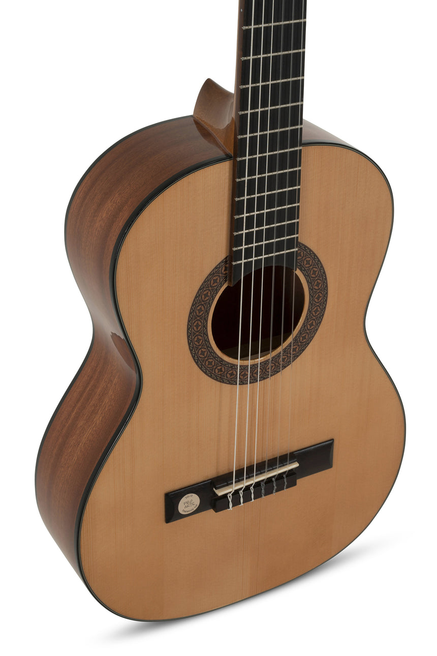 GEWA Klassikgitarre Pro Arte GC 25A B-Ware - Musik-Ebert Gmbh