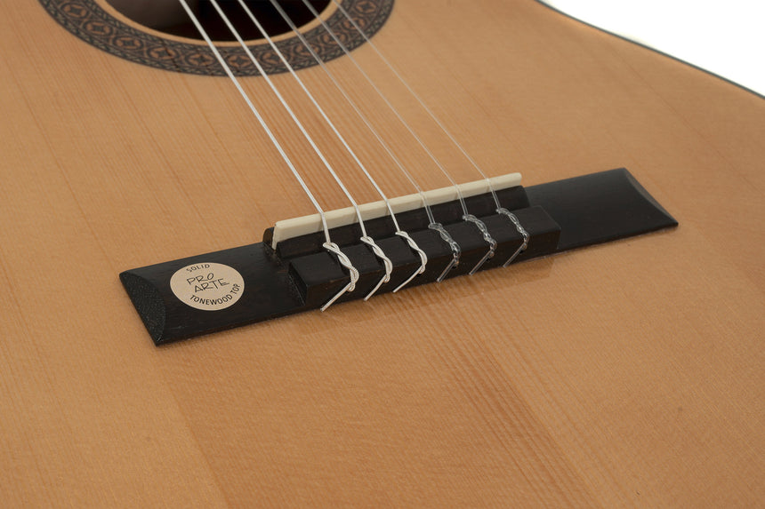 GEWA Klassikgitarre Pro Arte GC 100A B-Ware - Musik-Ebert Gmbh