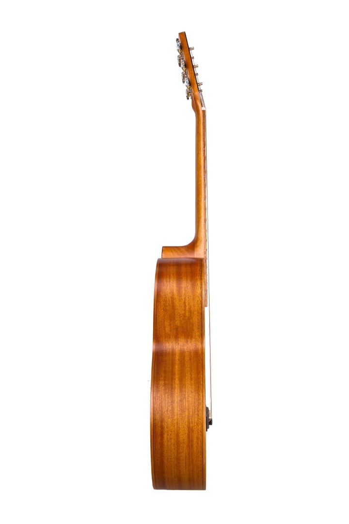 Shape P-313-MT-T Parlor Akustikgitarre – Kompakte Westerngitarre mit massiver Fichtendecke