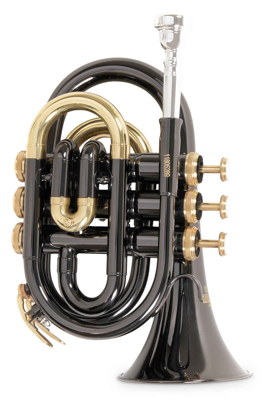 Roy Benson PT-101K, anthracite – upright front view