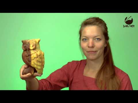 Holzeule Vogelstimme