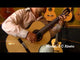 Guitare classique Alhambra 3C 4/4 avec étui