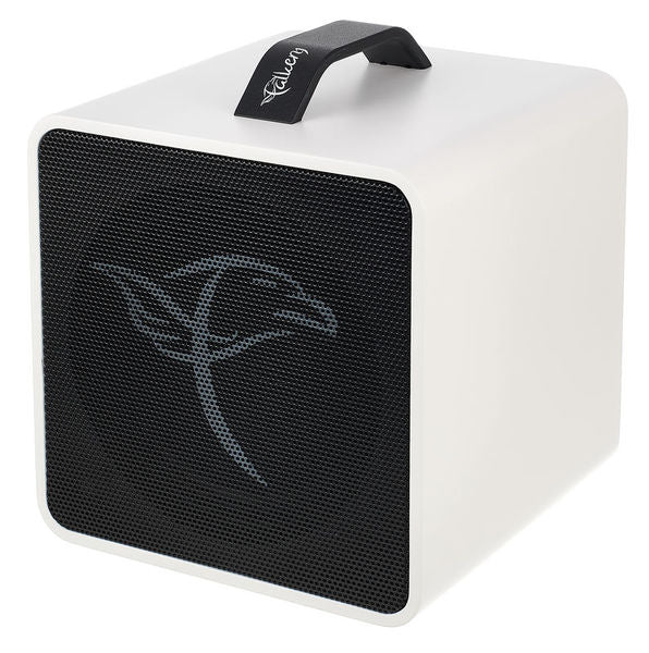 Falken 1 Traveller Akustik-Amp mit Akku + Bluetooth, weiss/schwarz inkl. Tasche - Musik-Ebert Gmbh