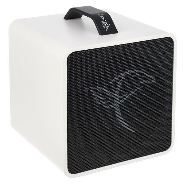 Falken 1 Traveller Akustik-Amp mit Akku + Bluetooth, weiss/schwarz inkl. Tasche - Musik-Ebert Gmbh