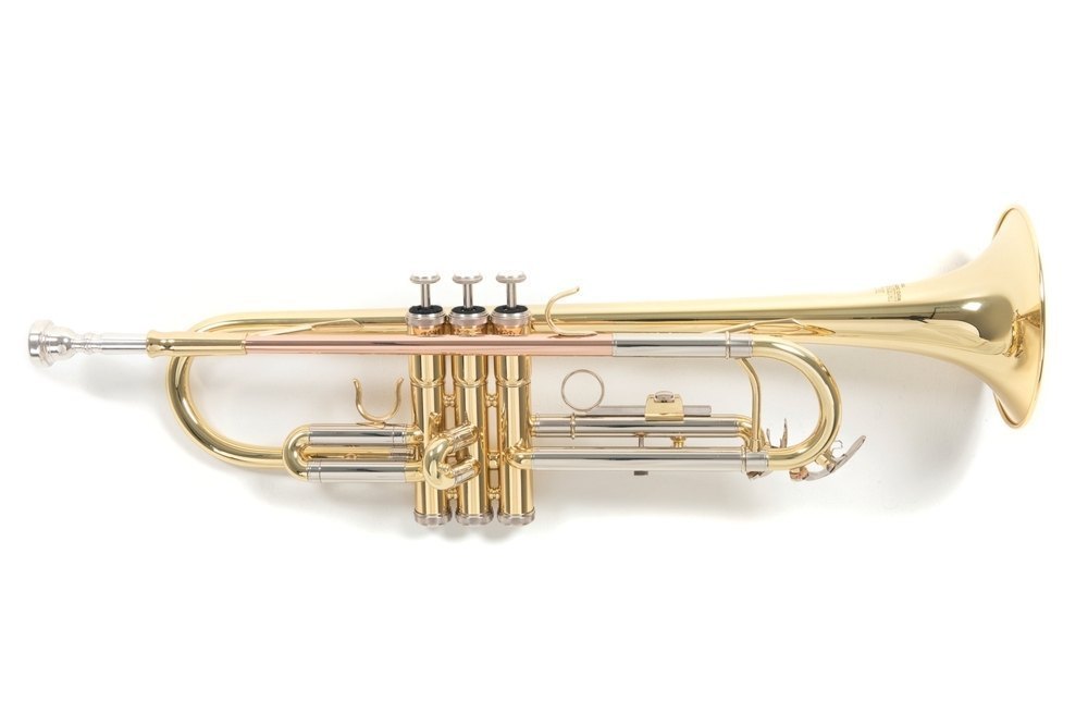 Roy Benson Trompete TR-202 - Musik-Ebert Gmbh